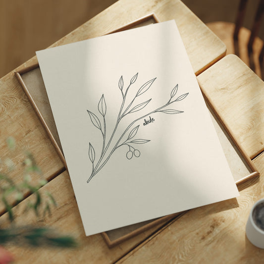 Olive Branch Sketches Quiet Promise