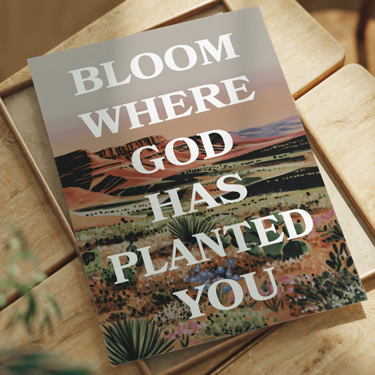 Where The Desert Learns Your Name