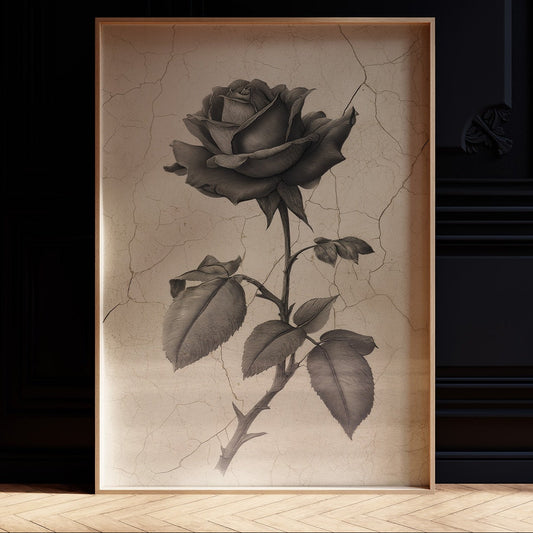 Faded Bloom In Midnight Parlor
