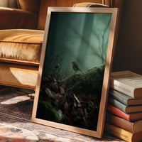 Solitary Songbird In Misty Forest