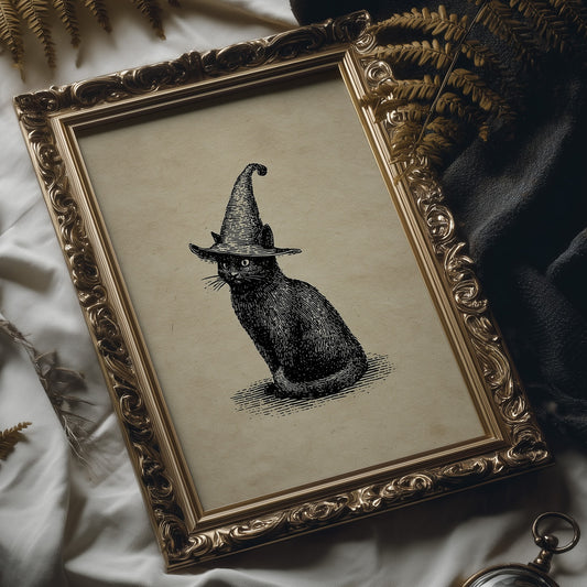 Midnight Familiar In Pointed Hat