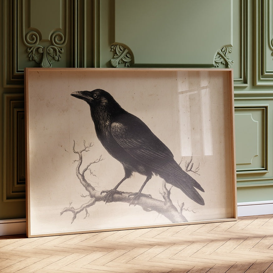 Raven Among Literary Companions