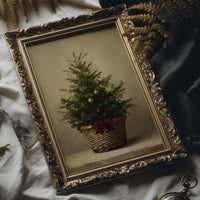 Evergreen Simplicity Against Dark Walls