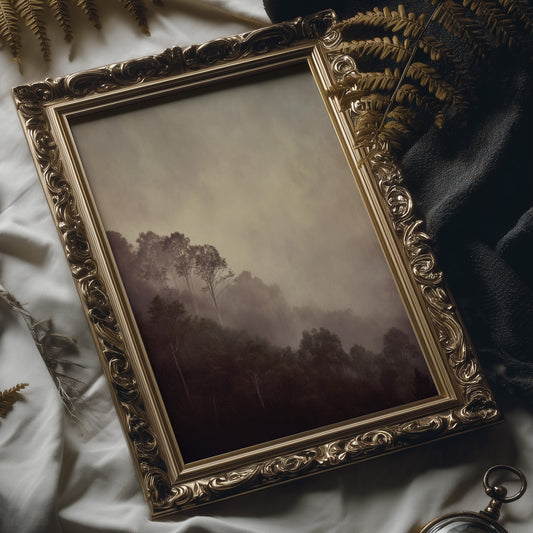 Mist Veils The Ancient Valley