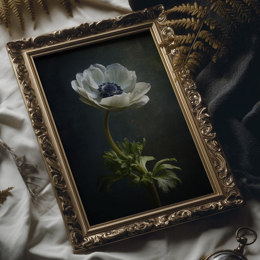 Lone Anemone Against Dark Depths