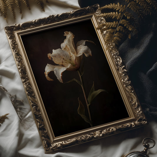 Solitary Bloom Against Midnight Depths