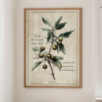 Olive Branch Carries Sacred Wisdom