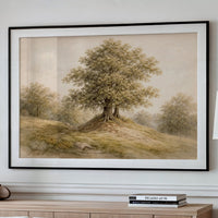 Sentinel Oak Crowns Golden Hilltop