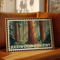 Redwood Forest: Secrets of Time