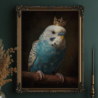 Royal Plumage In Midnight Court