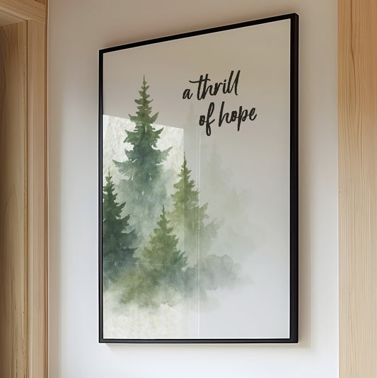 Evergreens Carry Quiet Promises