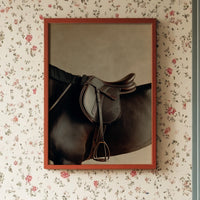 Polished Leather Waits For Morning Ride