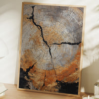 Time Circles Through Ancient Wood