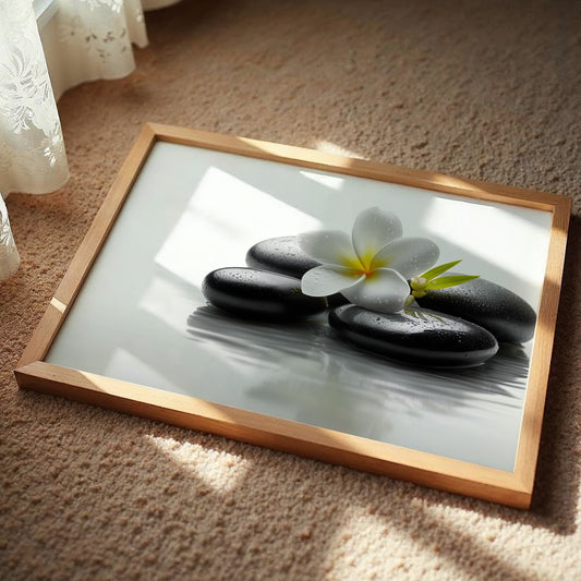 Plumeria Finds Peace On Stones