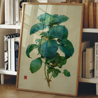 Basil Leaves Dance In Morning Light