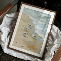 Shoreline Whispers Gather Treasures