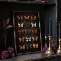 Amber Wings Against Midnight Walls