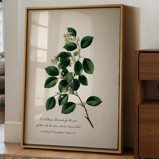 Botanical Faith On Wooden Table