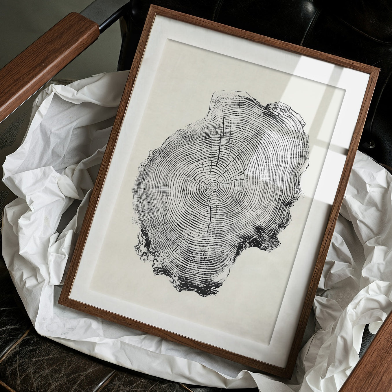 Time Circles Dance In Black