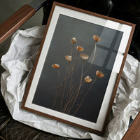 Dried Poppies Above Evening Spirits