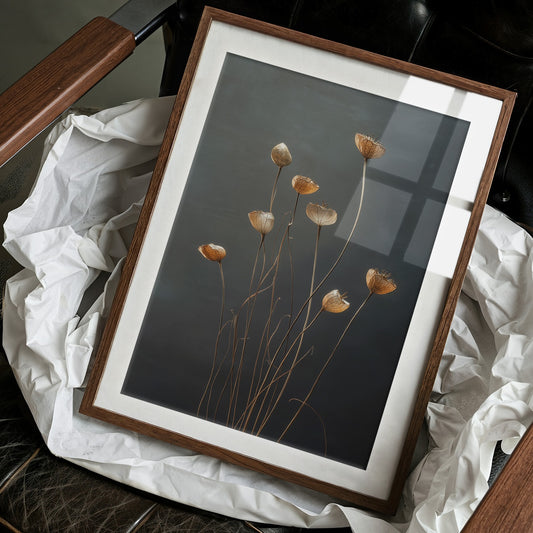 Dried Poppies Above Evening Spirits