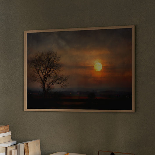 Lone Tree Awaits Amber Dawn