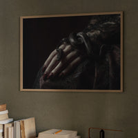 Serpent Tales Between Leather Spines