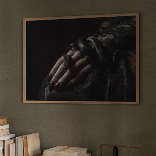 Serpent Tales Between Leather Spines