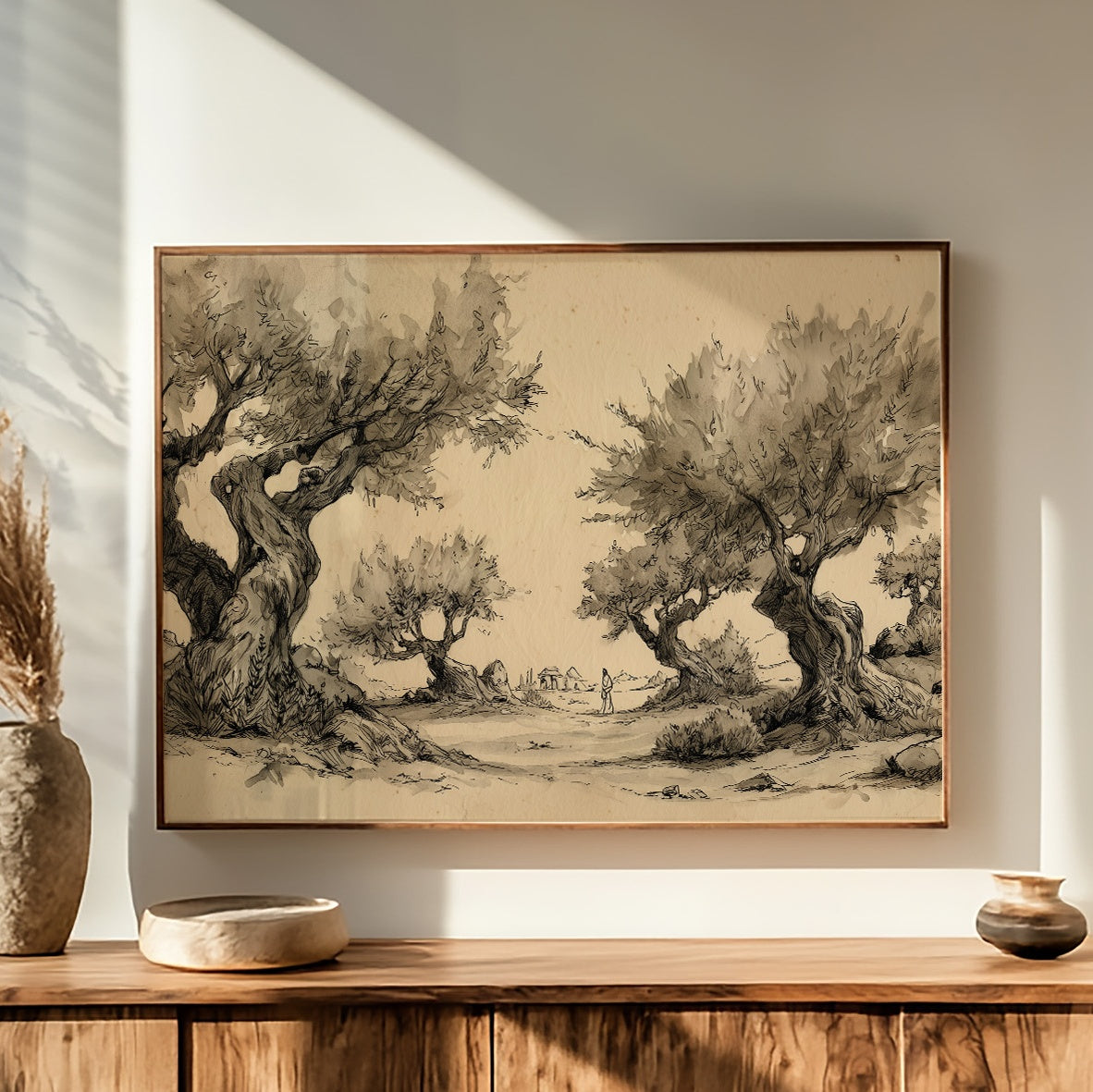 Ancient Olives Guard Distant Paths