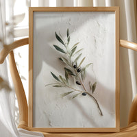 Mediterranean Simplicity Speaks Peace