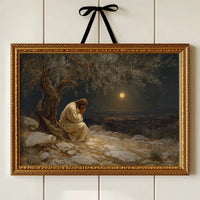 Midnight Prayer Beneath Ancient Olive