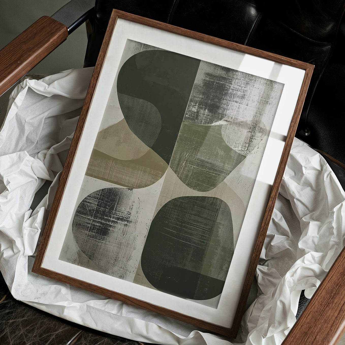 Olive Circles Dance In Light