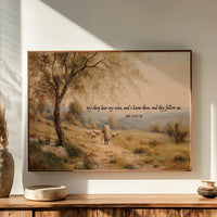 Shepherd's Path In Golden Light