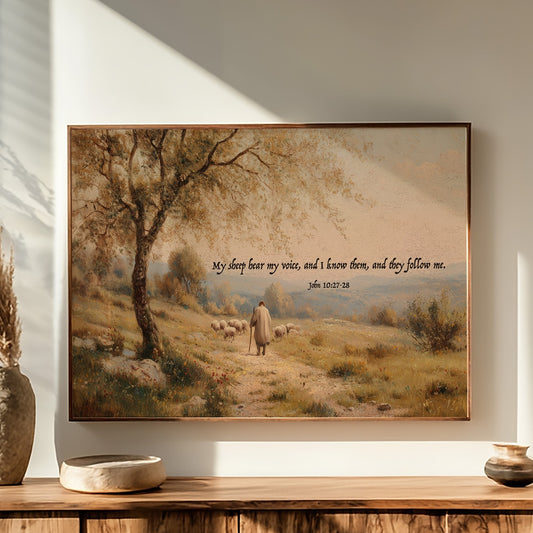 Shepherd's Path In Golden Light