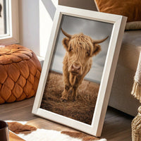 Highland Soul In Rustic Portrait