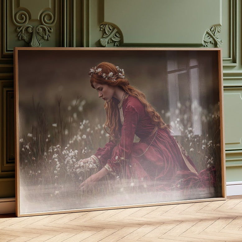 Stories Between Meadow And Memory