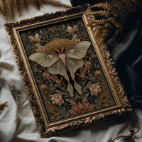 Nocturnal Symmetry: Art Nouveau Moth