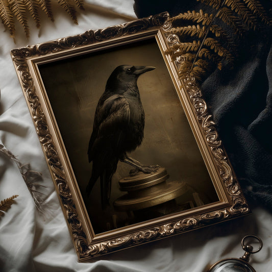 Obsidian Sentinel: Wisdom in Darkness