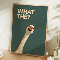 Bewildered Goose: A Minimalist Inquiry