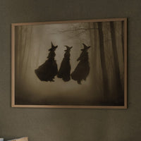 Witches Gather In Misty Woods