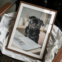 The Literary Companion: Pug's Morning Read