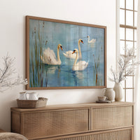 Morning Lake Holds Swan Stories