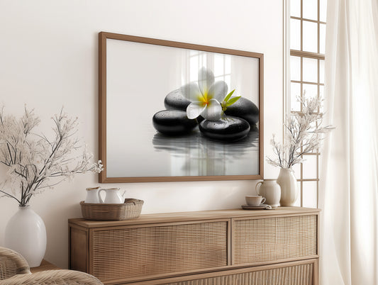 Plumeria Finds Peace On Stones