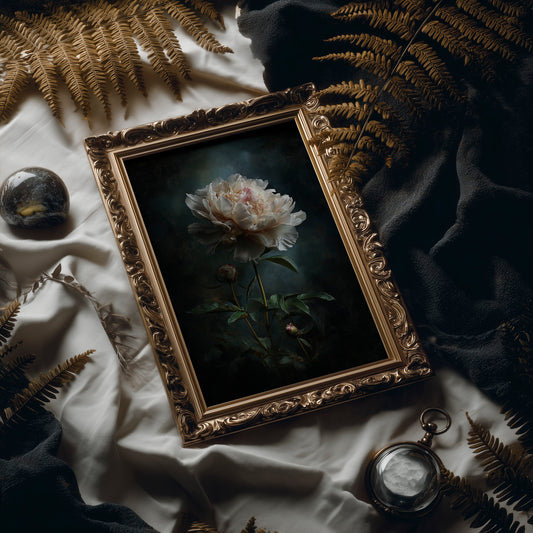 Pale Blossom Against Midnight Walls