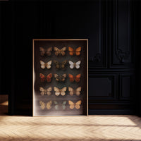 Amber Wings Against Midnight Walls