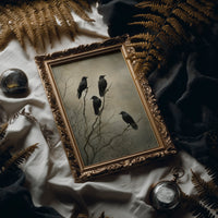 Ravens Hold The Barren Branch