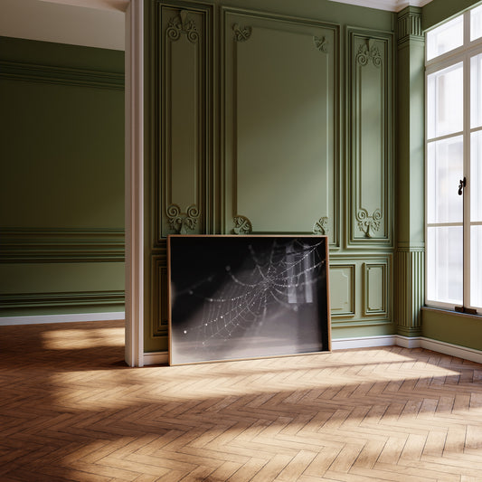 Dew Caught In Midnight Threads