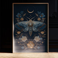 Midnight Moth Dances With Stars