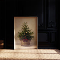 Evergreen Simplicity Against Dark Walls