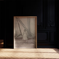 Between Fog And Fallen Trees